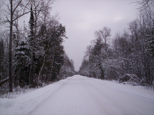 Hiawatha Forest