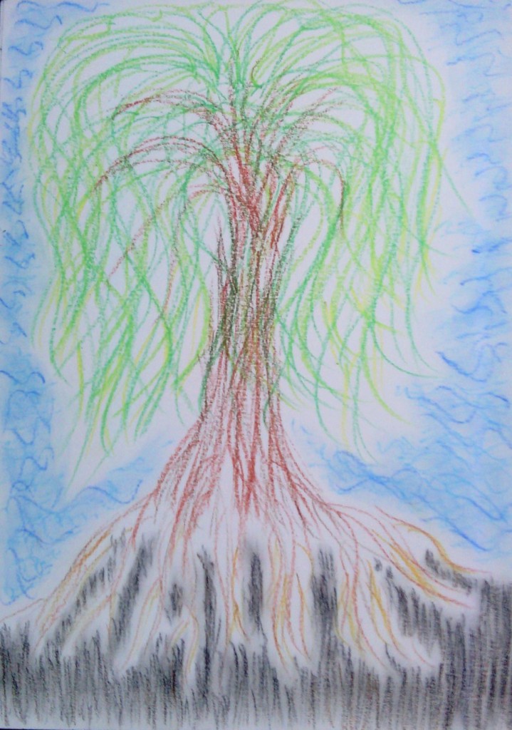 "Mother Willow," Oil pastel. 