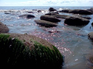 Irish Sea at St. Bee's, UK, August 2014. Getting "low" with the water stones.